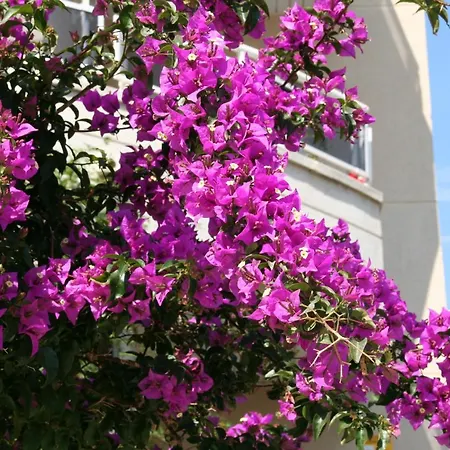 R22 Holiday home Calafell